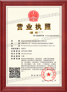 湖北检验所公司营业执照副本