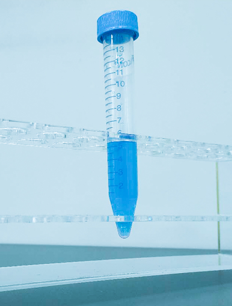 未来之星成长呵护基因解码 未来之星成长呵护基因解码