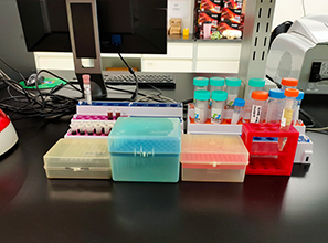胰腺癌精准治疗,四种类型四种方案 胰腺癌精准治疗,四种类型四种方案
