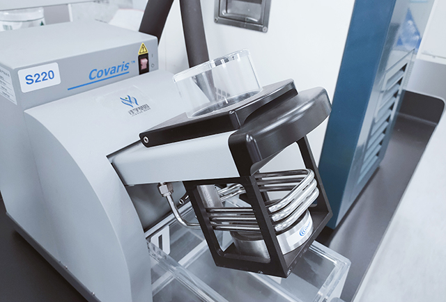 佳学基因解码之运动天赋基因解码 佳学基因解码之运动天赋基因解码