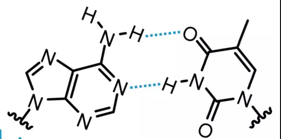 【佳学基因检测