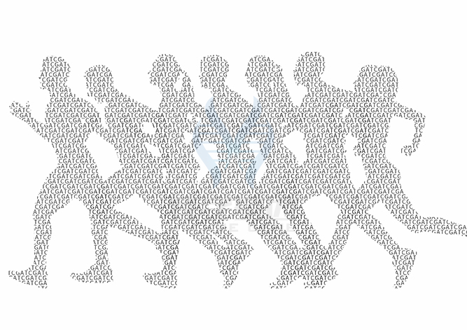 【佳学基因检测】做耳腭指(趾)综合征基因解码、基因检测需要多长时间？