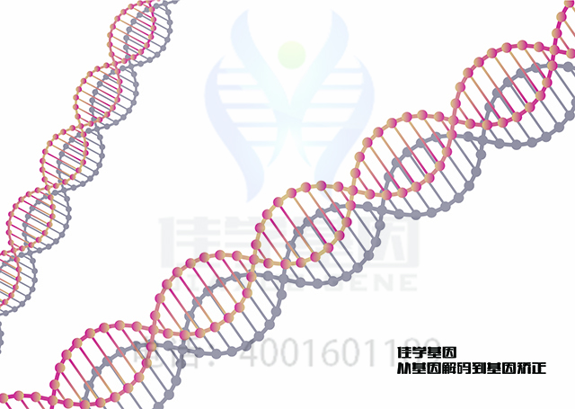 【佳学基因检测】需要多长时间可以拿振动性荨麻疹基因解码、基因检测报告? 【佳学基因检测】需要多长时间可以拿振动性荨麻疹基因解码、基因检测报告?