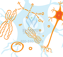 【佳学基因检测】做Denys-Drash综合征基因解码、基因检测需要多少钱? 【佳学基因检测】做Denys-Drash综合征基因解码、基因检测需要多少钱?