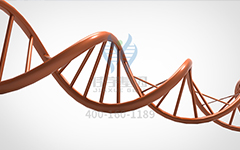 【佳学基因检测】阵发性心房颤动基因解码、基因检测的报告有人解读吗? 【佳学基因检测】阵发性心房颤动基因解码、基因检测的报告有人解读吗?
