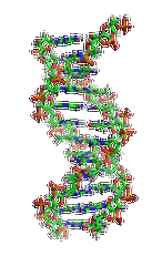 【佳学基因检测】眼皮肤白化病4型基因解码、基因检测的报告有人解读吗? 【佳学基因检测】眼皮肤白化病4型基因解码、基因检测的报告有人解读吗?