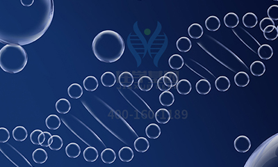 【佳学基因-基因检测】基因是怎么影响我们的饮食偏好的? 【佳学基因-基因检测】基因是怎么影响我们的饮食偏好的?