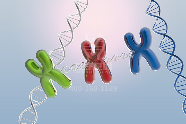 【佳学基因检测】分子病理检测包中为什么一定要有BCL7A基因？