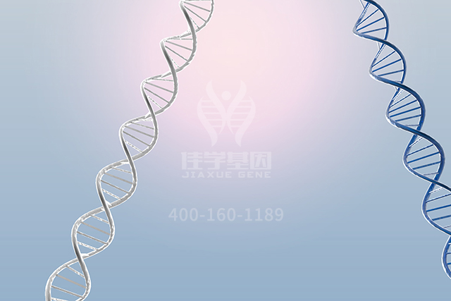 【佳学基因检测】骨科突变检测项目招标中关于APLP1的问题