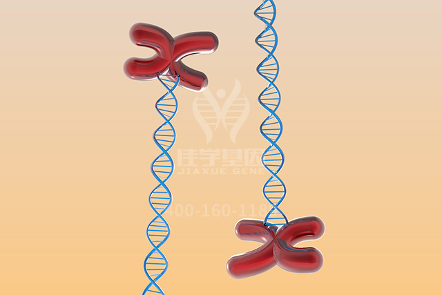 【佳学基因检测】主治医师分子病理检测BAK1P1内容要点
