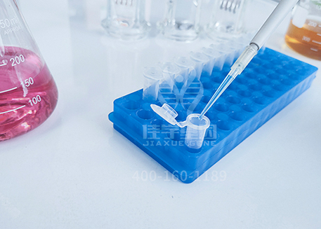 【佳学基因-基因检测】小龙女吴卓林公开表示自己出柜——同性恋到底是天生的?还是后天造成的? 【佳学基因-基因检测】小龙女吴卓林公开表示自己出柜——同性恋到底是天生的?还是后天造成的?