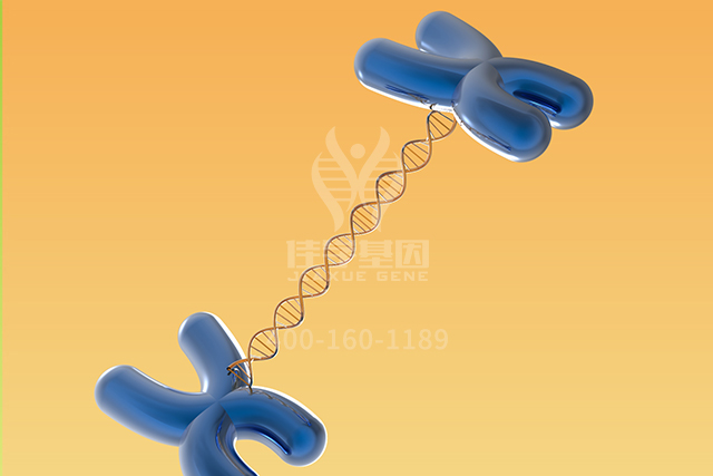 【佳学基因检测】生殖科分子病理检测项目招标中关于ALDH7A1P1的问题及答案