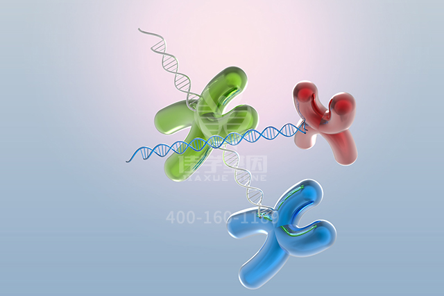 【佳学基因检测】讯飞星火认知大模型中ATP12A突变检测知识信息源分析 【佳学基因检测】讯飞星火认知大模型中ATP12A突变检测知识信息源分析