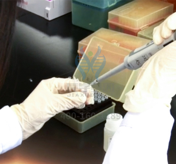 【佳学基因-基因检测】基因解码让瓜氨酸血症不在后代中遗传 【佳学基因-基因检测】基因解码让瓜氨酸血症不在后代中遗传