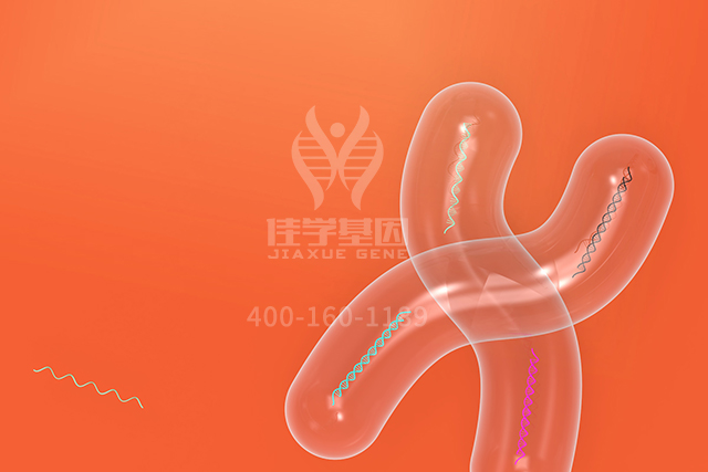 【佳学基因检测】医学院硕士研究考试关于ASGR1突变检测的知识要点 【佳学基因检测】医学院硕士研究考试关于ASGR1突变检测的知识要点