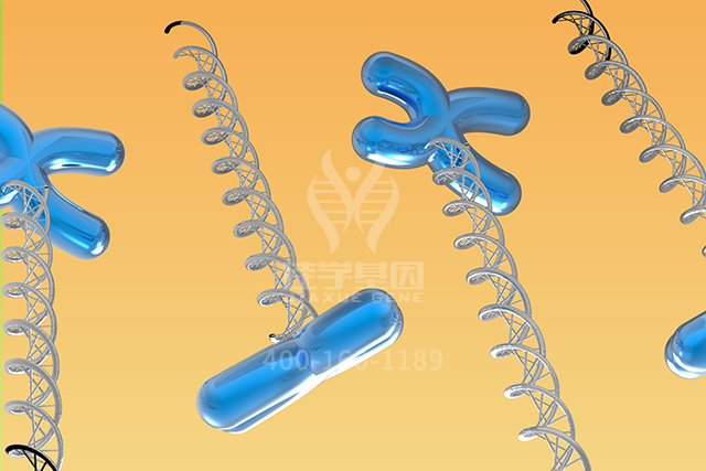 【佳学基因检测】ASLP1基因评估分析应该包括多少位点