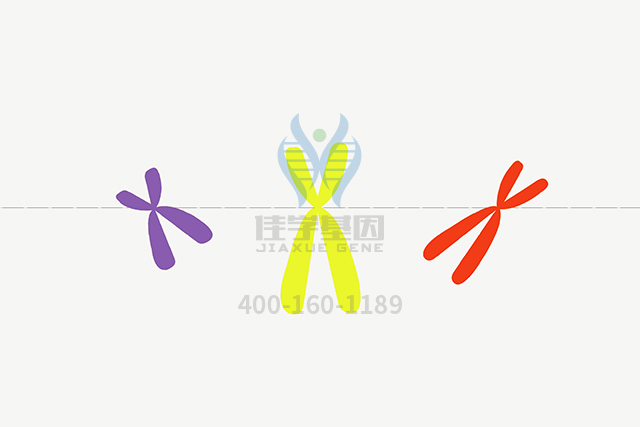 【佳学基因检测】ATP1B3分子病理检测有突变会得什么病？