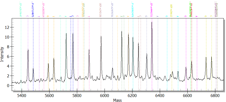 【佳学基因检测】MassARRAY SNP基因型技术———准确的基因序列获取+基因解码!