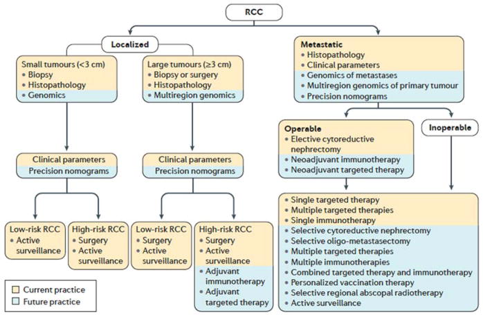 【佳学基因检测】肾脏癌靶向药物基因检测(Kidney Cancer) 【佳学基因检测】肾脏癌靶向药物基因检测(Kidney Cancer)