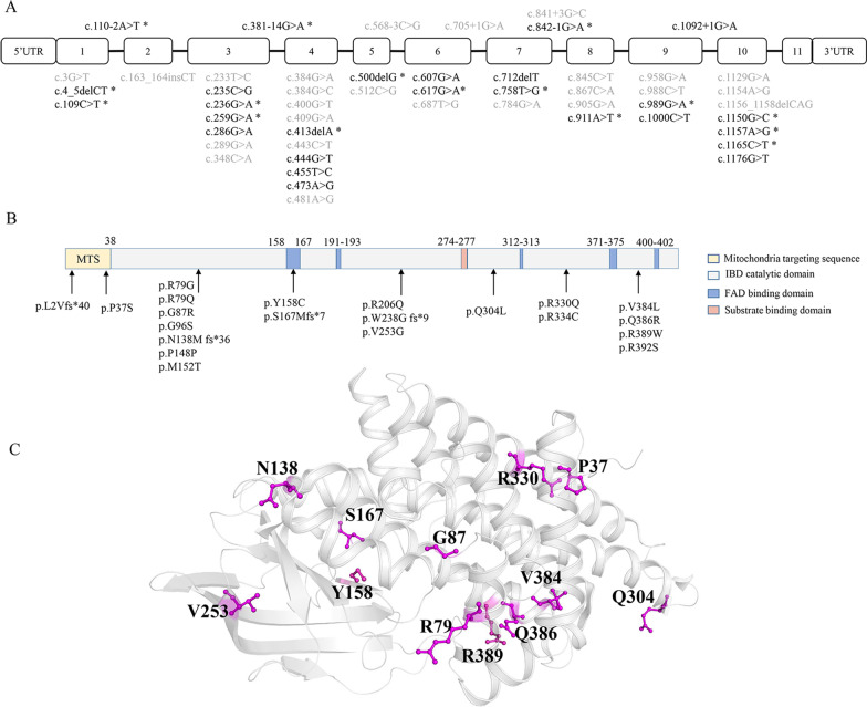 【佳学基因检测】怎么做异丁酰辅酶A脱氢酶缺陷基因解码、基因检测? 【佳学基因检测】怎么做异丁酰辅酶A脱氢酶缺陷基因解码、基因检测?