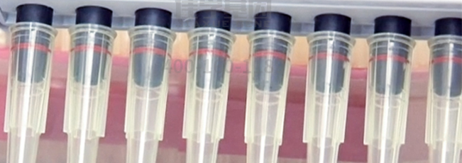 【佳学基因检测】爆发力基因解码、基因检测 【佳学基因检测】爆发力基因解码、基因检测