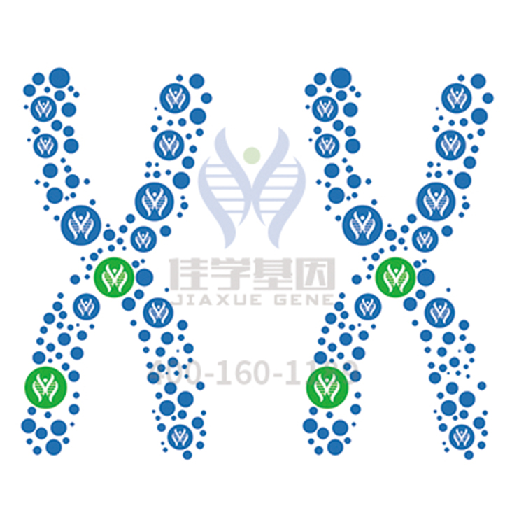 【佳学基因检测】科技部课题的背景准备中,需要包括的CD59的内容 【佳学基因检测】科技部课题的背景准备中,需要包括的CD59的内容