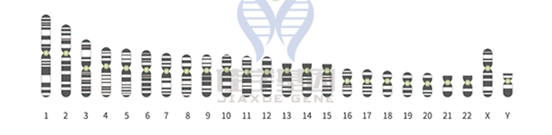 【佳学基因解码-基因检测】由PRNP基因突变导致的致命失眠症你了解吗? 【佳学基因解码-基因检测】由PRNP基因突变导致的致命失眠症你了解吗?