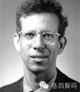 【佳学基因检测】结婚前基因筛查，发现CHRNA2基因突变，怎么办？