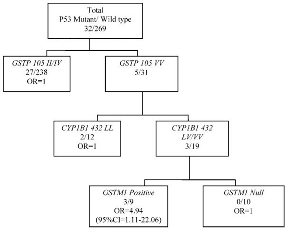 【佳学基因检测】药物代谢基因基因检测揭示吸烟和乳腺癌中p53致病基因突变 【佳学基因检测】药物代谢基因基因检测揭示吸烟和乳腺癌中p53致病基因突变