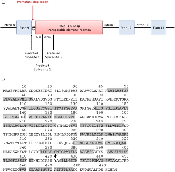 【佳学基因检测】NANA贮积病基因检测 【佳学基因检测】NANA贮积病基因检测