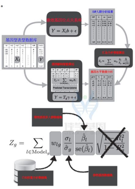 【佳学基因检测】腋下有味道就是狐臭吗?基因解码是怎样提高狐臭基因检测的准确性的? 【佳学基因检测】腋下有味道就是狐臭吗?基因解码是怎样提高狐臭基因检测的准确性的?