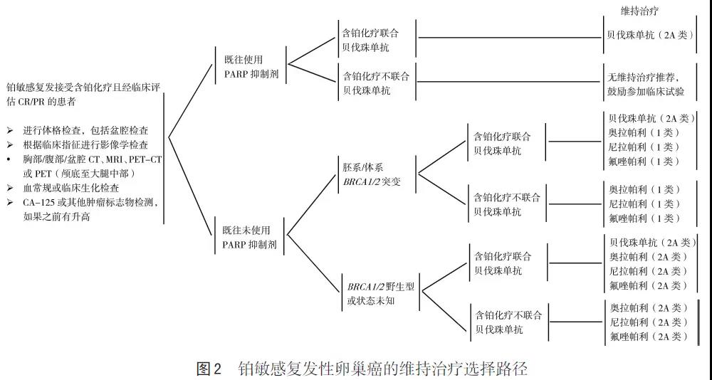 【佳学基因检测】中国卵巢上皮性癌维持治疗指南标准及基因检测要求 【佳学基因检测】中国卵巢上皮性癌维持治疗指南标准及基因检测要求