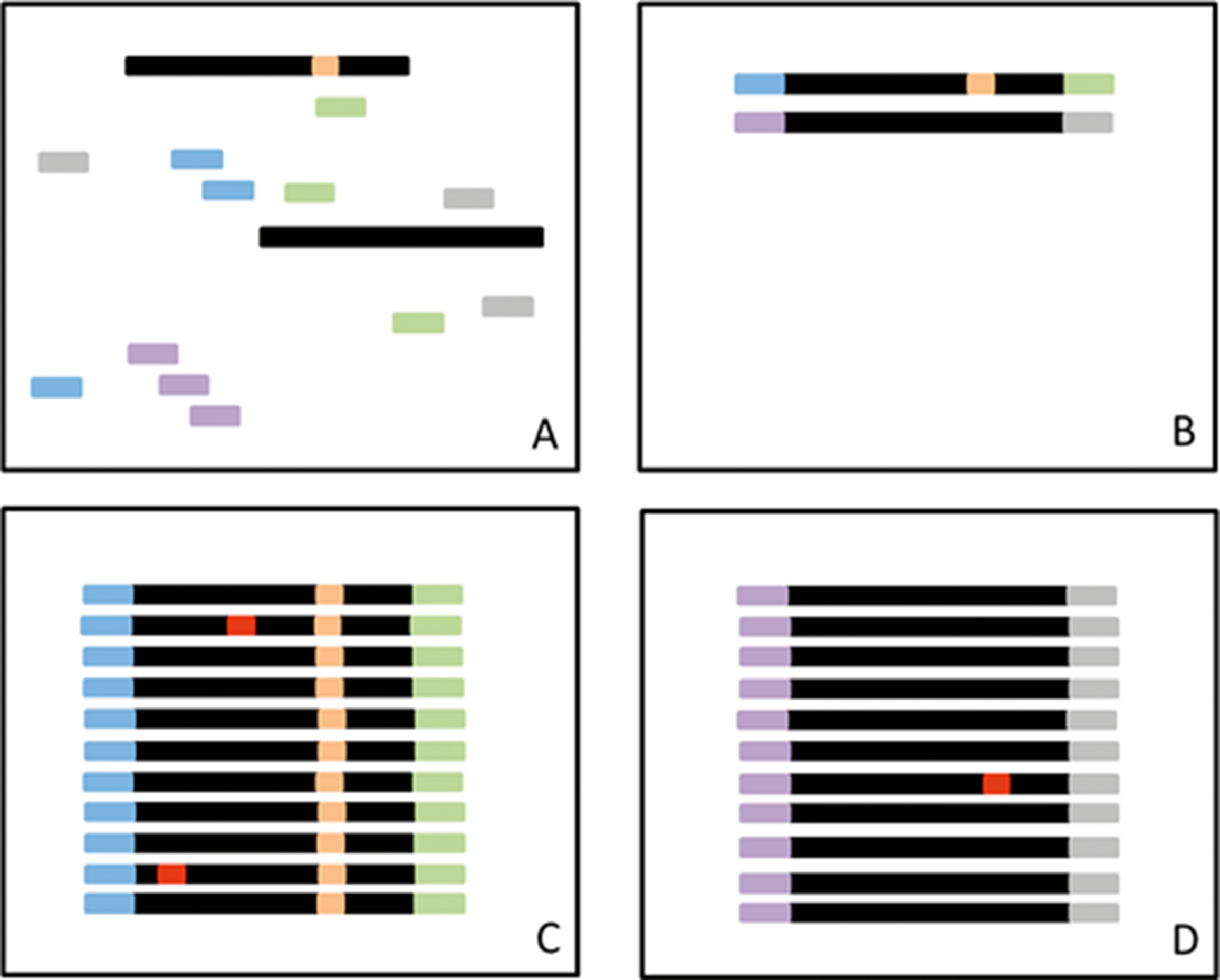 【佳学基因检测13】医院所需要的下一代测序技术(NGS测序) 【佳学基因检测13】医院所需要的下一代测序技术(NGS测序)
