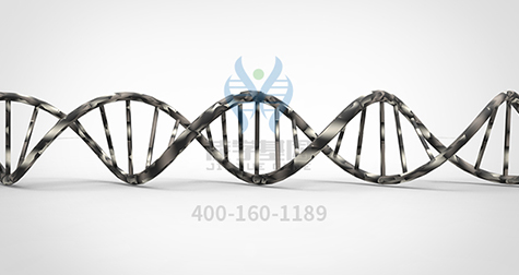 【佳学基因解码-基因检测】怪不得嗯哼的情商这么高!霍思燕的教育方式获赞! 【佳学基因解码-基因检测】怪不得嗯哼的情商这么高!霍思燕的教育方式获赞!