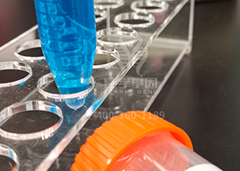 【佳学基因解码-基因检测】这些明星因肥胖而陨落,肥胖竟会导致这些癌症的爆发? 【佳学基因解码-基因检测】这些明星因肥胖而陨落,肥胖竟会导致这些癌症的爆发?