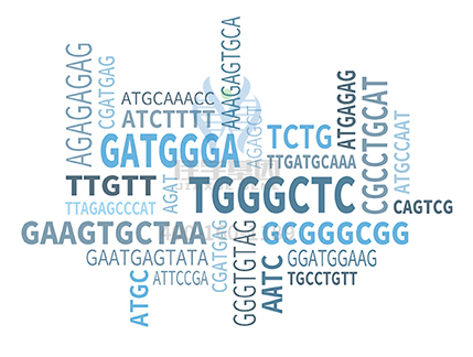 【佳学基因解码-基因检测】真有天生“暴力狂”? 【佳学基因解码-基因检测】真有天生“暴力狂”?