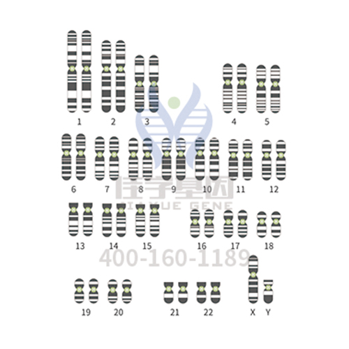 【佳学基因解码-基因检测】真有天生“暴力狂”? 【佳学基因解码-基因检测】真有天生“暴力狂”?