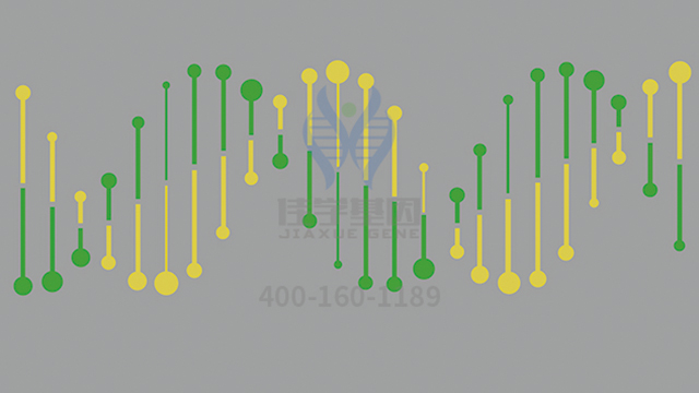 【佳学基因-基因检测】如何预防家族性阿尔茨海默病? 【佳学基因-基因检测】如何预防家族性阿尔茨海默病?