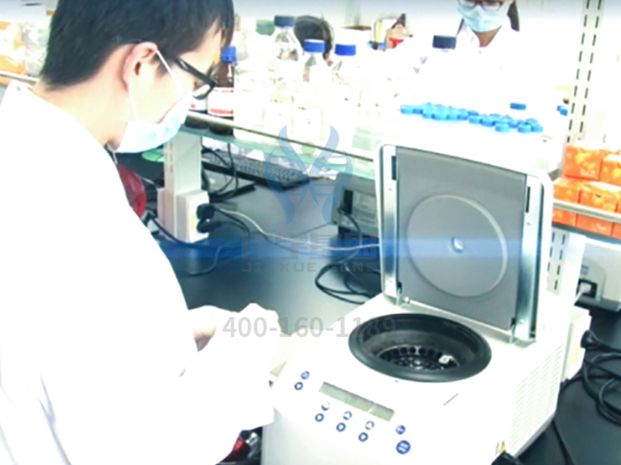 【佳学基因-基因检测】肥胖会增加肾癌风险? 【佳学基因-基因检测】肥胖会增加肾癌风险?