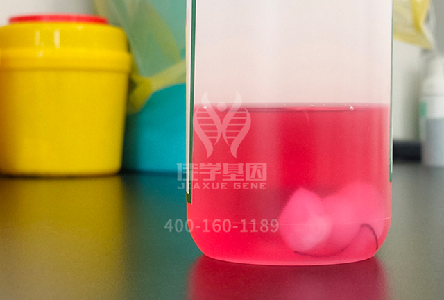 【佳学基因解码-基因检测】他收集诺贝尔奖得主的精子来培养天才儿童!结果如何了? 【佳学基因解码-基因检测】他收集诺贝尔奖得主的精子来培养天才儿童!结果如何了?