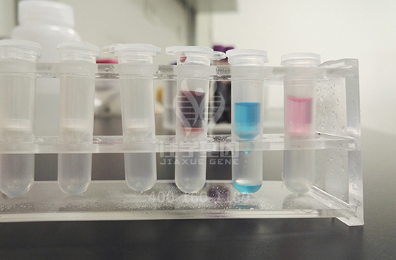 【佳学基因解码-基因检测】他收集诺贝尔奖得主的精子来培养天才儿童!结果如何了? 【佳学基因解码-基因检测】他收集诺贝尔奖得主的精子来培养天才儿童!结果如何了?