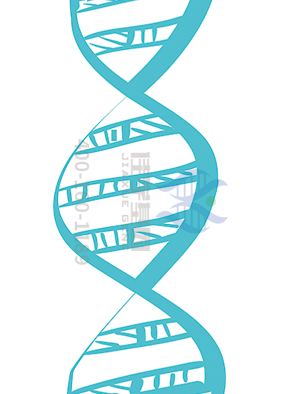 佳学博士Q&A佳学基因运动天赋基因检测从哪几个方面判断运动潜能？