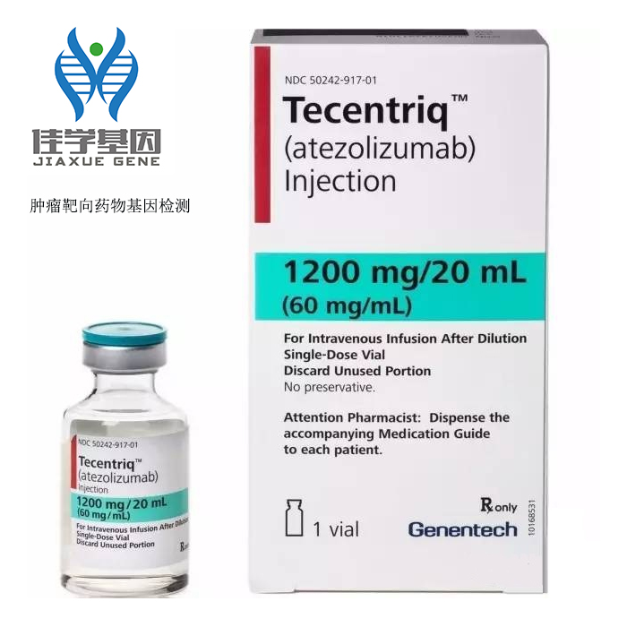 【佳学基因检测】文心一言中基因检测中关于DDT的知识所包含的内容