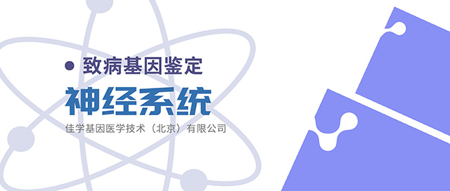 【佳学基因检测】线粒体疾病基因检测结果如何获得有效的治疗