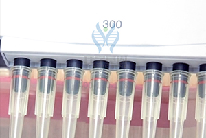 【佳学基因检测】操作智商基因解码基因检测 【佳学基因检测】操作智商基因解码基因检测