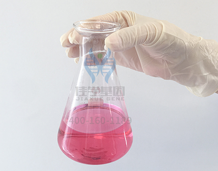 【佳学基因检测】临床医学硕士关于GAMT疾病筛查的必备内容