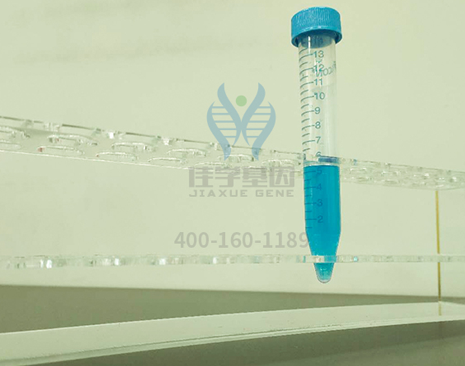 【佳学基因检测】自我超越基因解码、基因检测