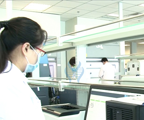 【佳学基因检测】舞蹈创造力基因解码、基因检测 【佳学基因检测】舞蹈创造力基因解码、基因检测