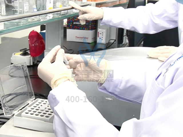 【佳学基因检测】逻辑思维能力基因解码基因检测 【佳学基因检测】逻辑思维能力基因解码基因检测