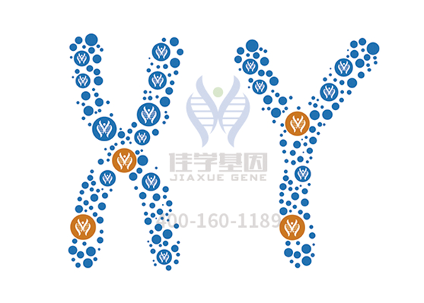 【佳学基因解码-基因检测】Y染色体正在缩小?地球是否即将变成女儿国! 【佳学基因解码-基因检测】Y染色体正在缩小?地球是否即将变成女儿国!